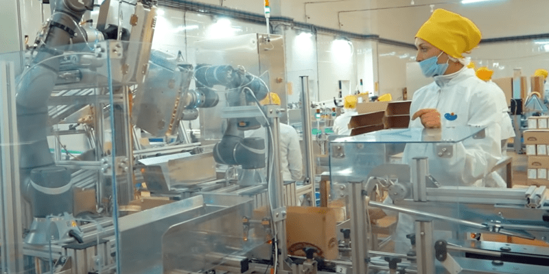 robot collaborativo applicazioni